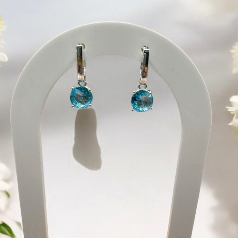 Elegant Silver and Blue Earrings 925